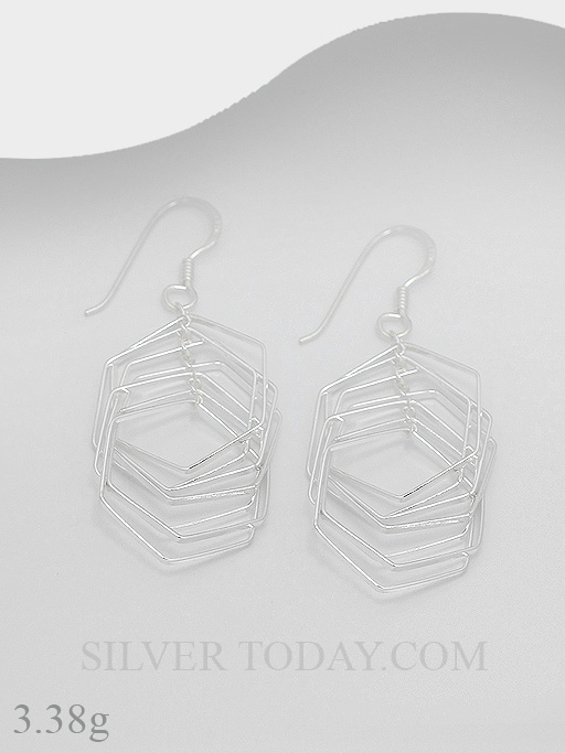 E1P05P4217 E1P05P4217