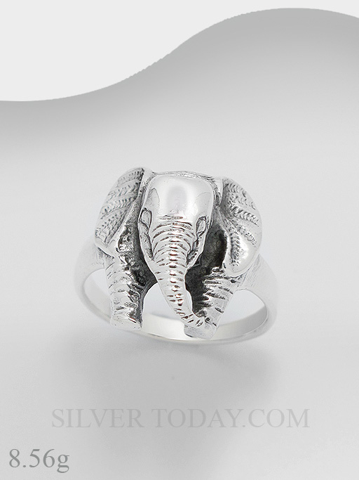 R1P04P3009 R1P04P3009