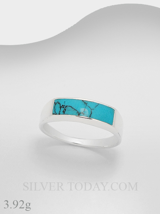 RSX03R0491 RSX03R0491