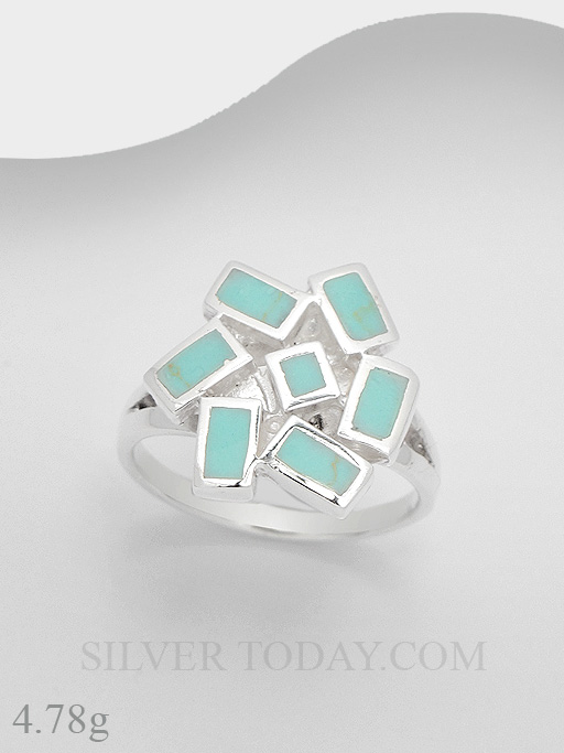 RSX04AAE24-2 RSX04AAE24-2