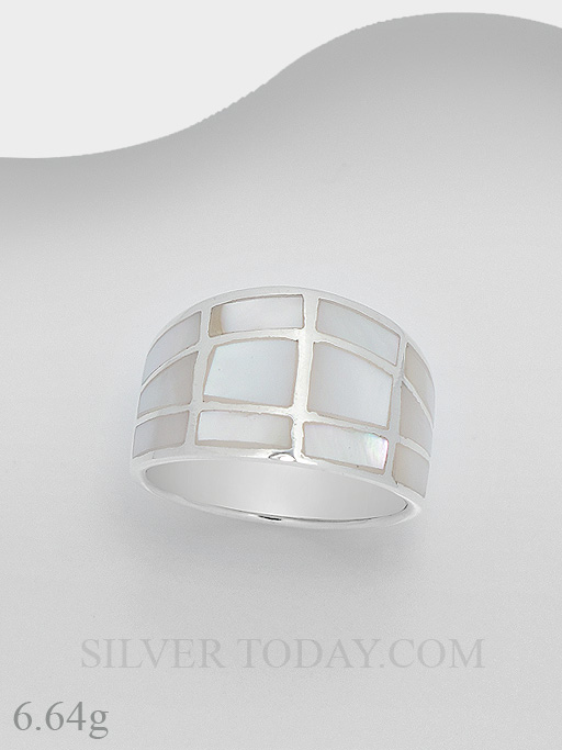 RSX04AAL41-2 RSX04AAL41-2