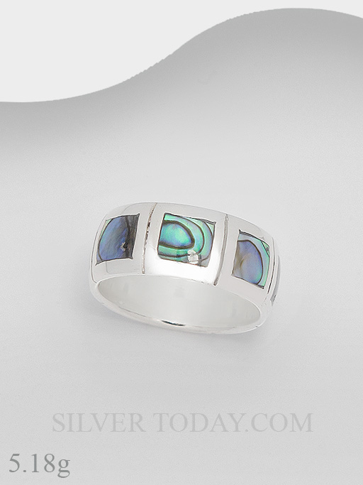 RSX04III09-2 RSX04III09-2