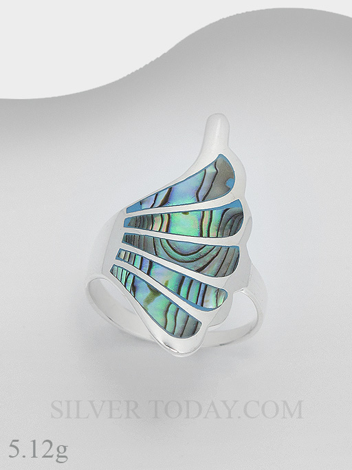 RSX04P1011 RSX04P1011