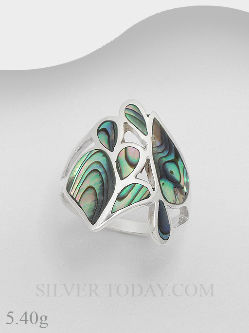 RSX04P1035 RSX04P1035