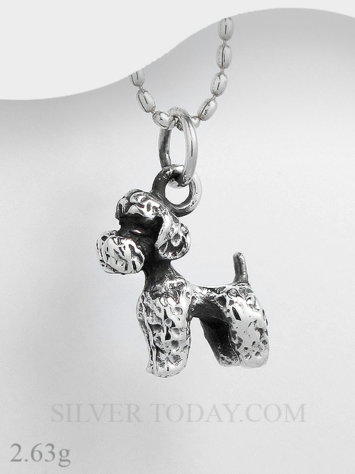 P1P04EX0108 P1P04EX0108