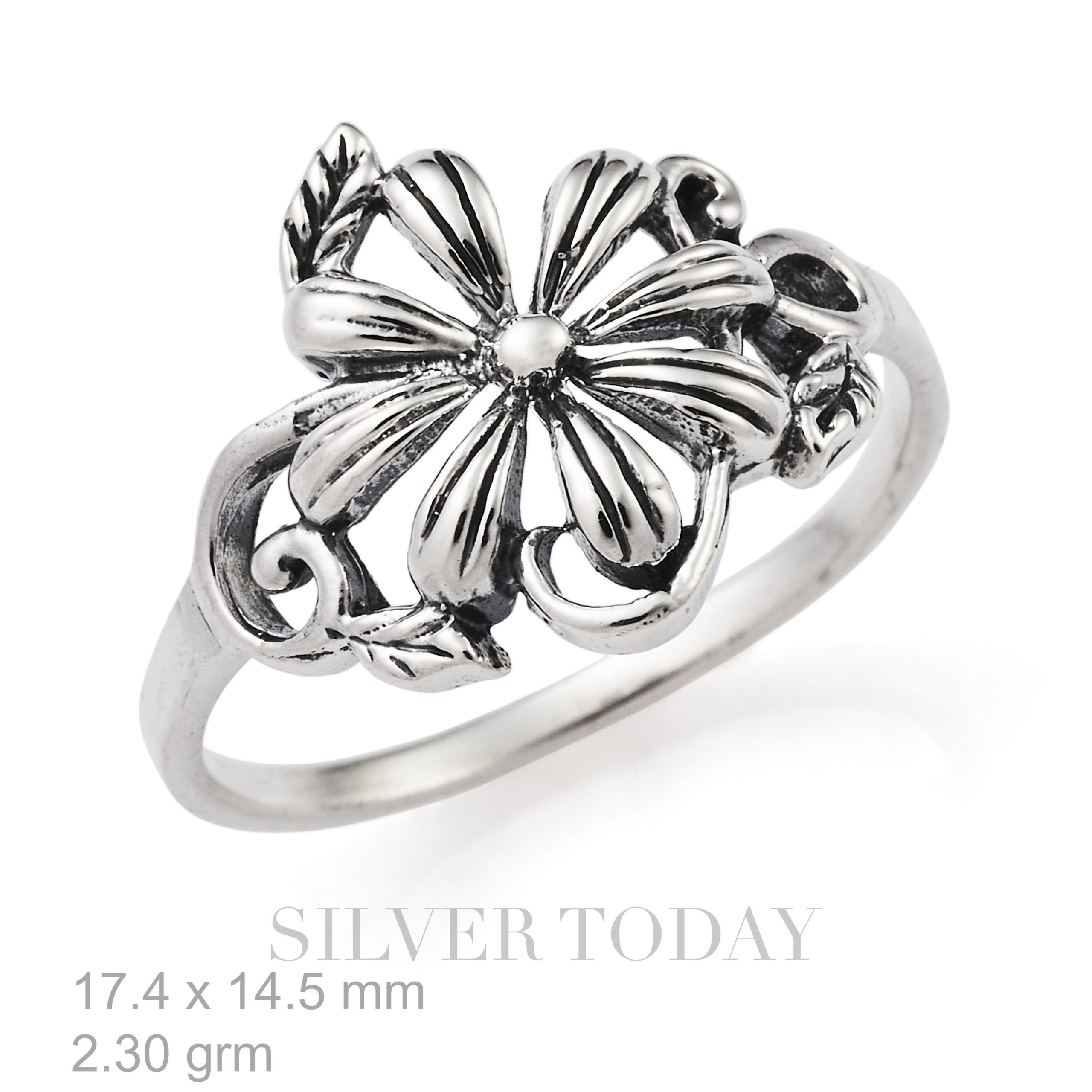 R1P01A0205 – Silverotday.com