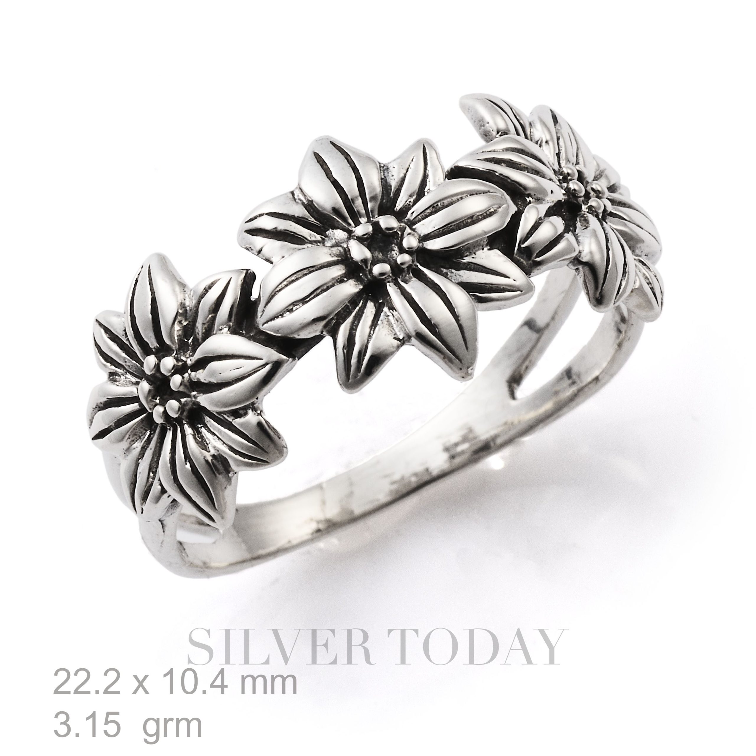 R1P04P1931 R1P04P1931