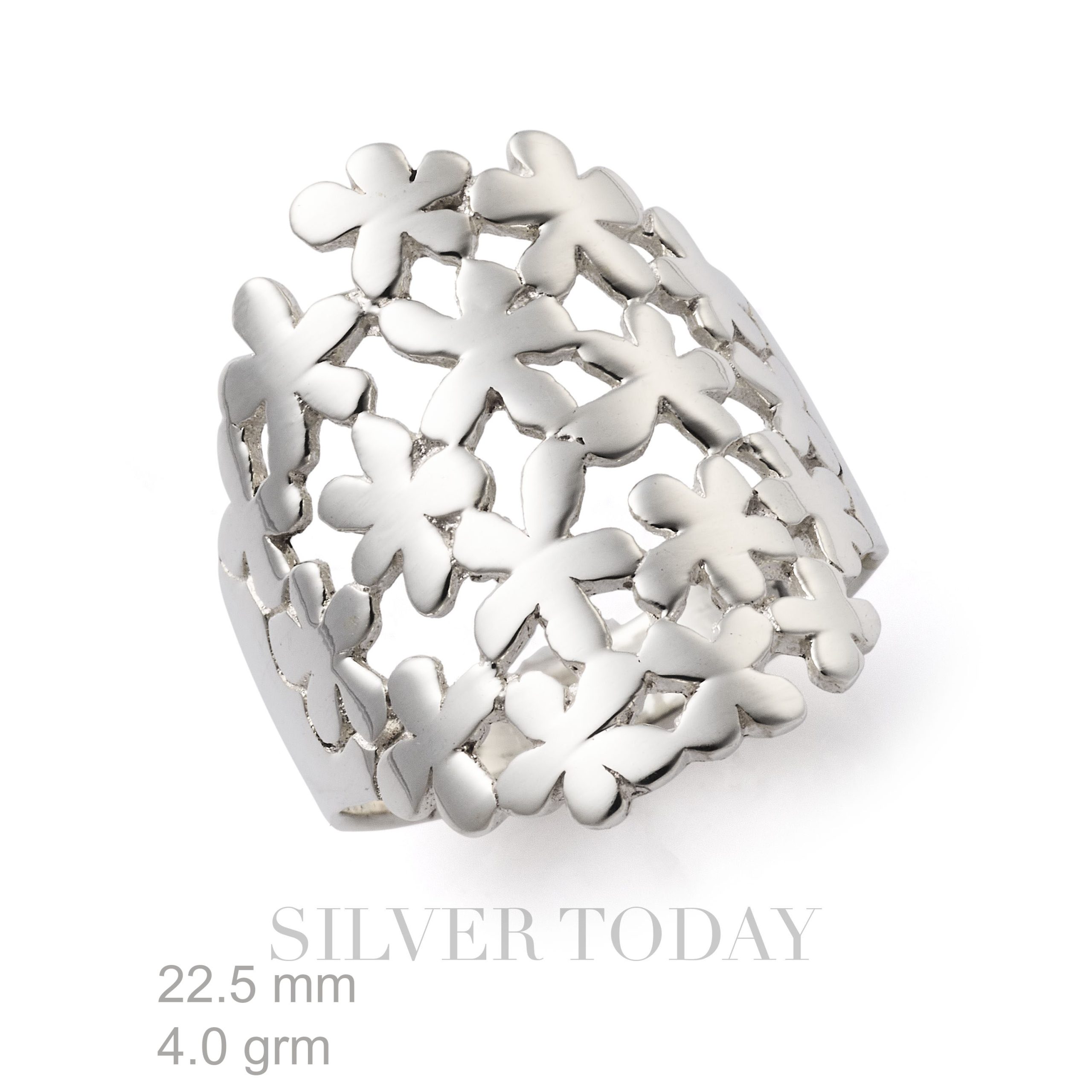 R1P04P4424 R1P04P4424