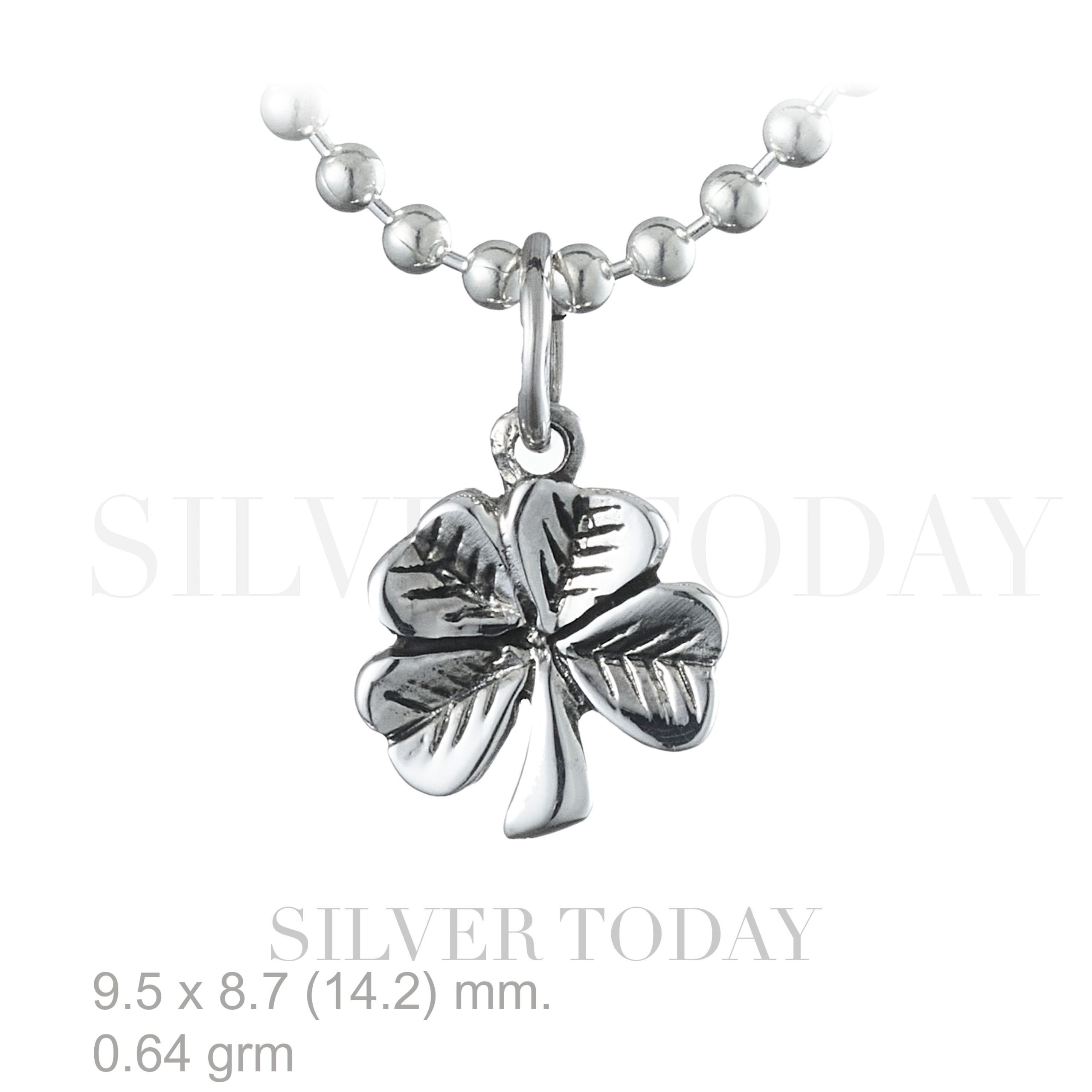 P1P04JU0218 P1P04JU0218