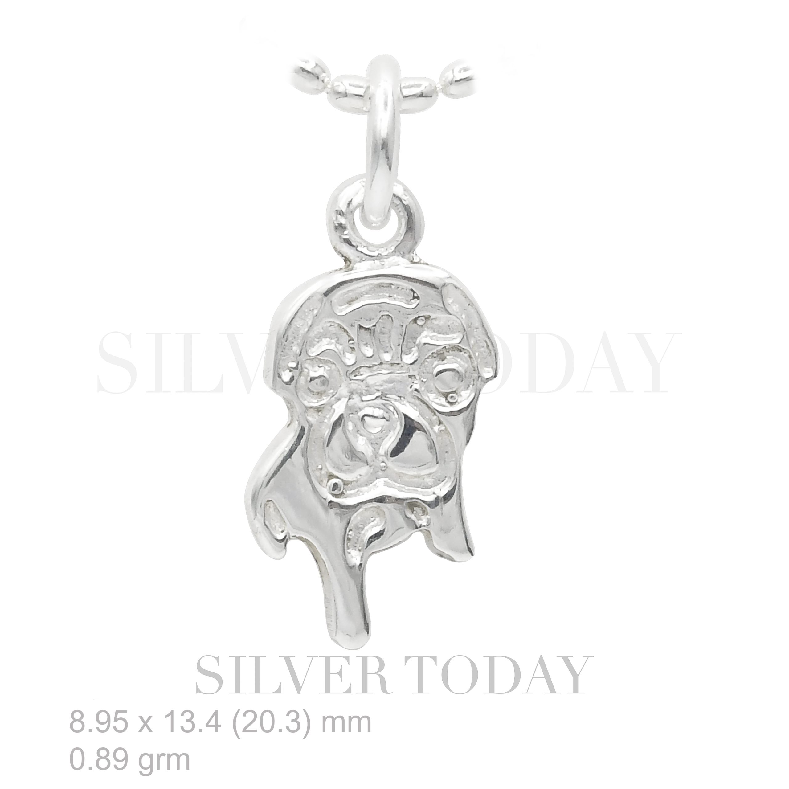 P1P08G0106 P1P08G0106