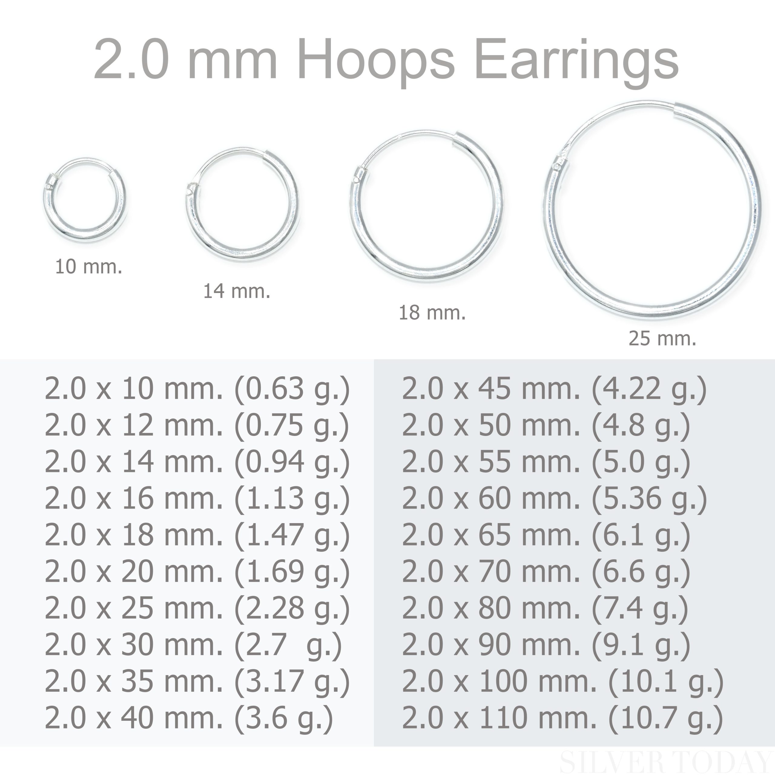 EH03 2.0 mm Hoops Earrings