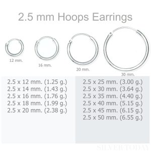 2.5 mm Hoops Earrings