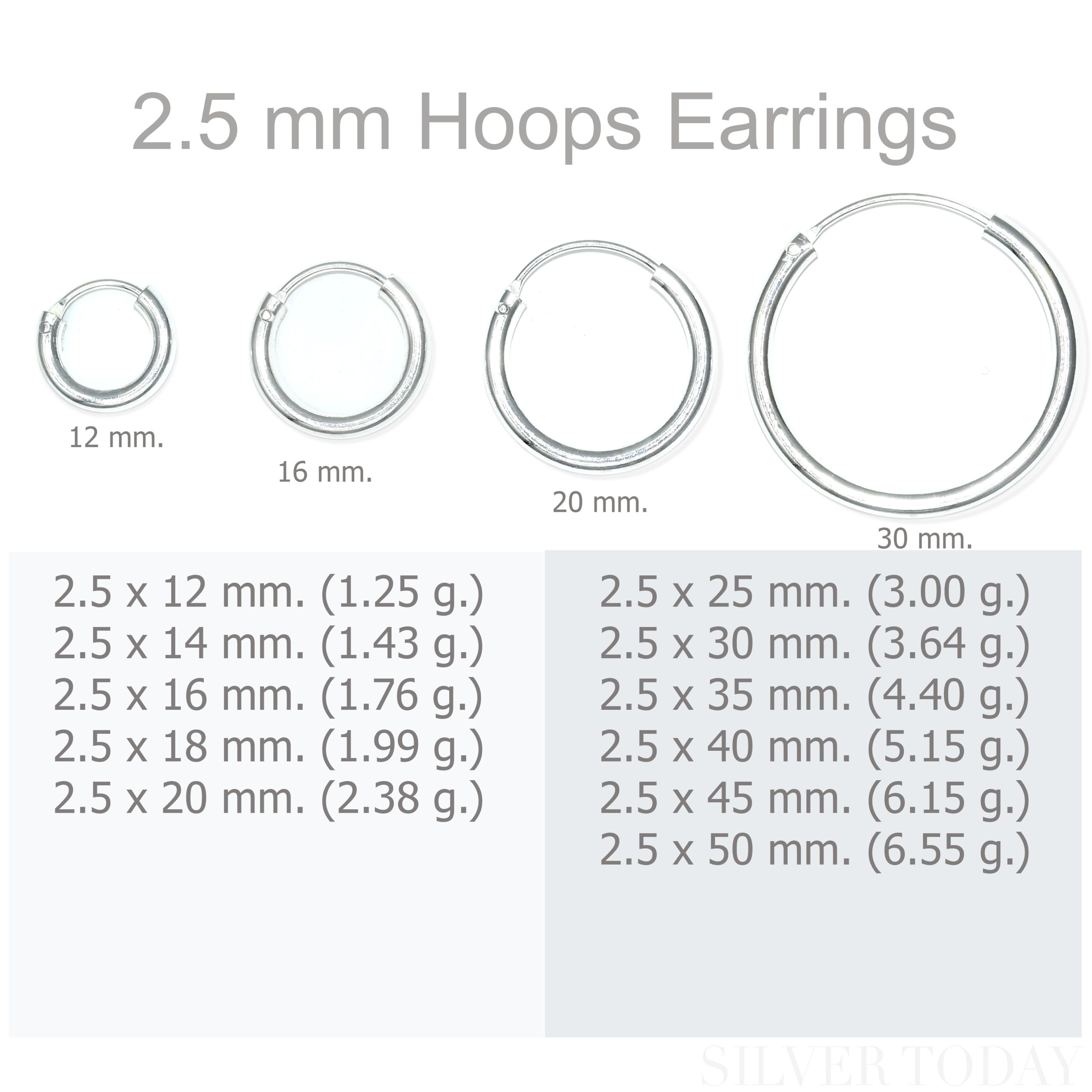 EH04 2.5 mm Hoops Earrings