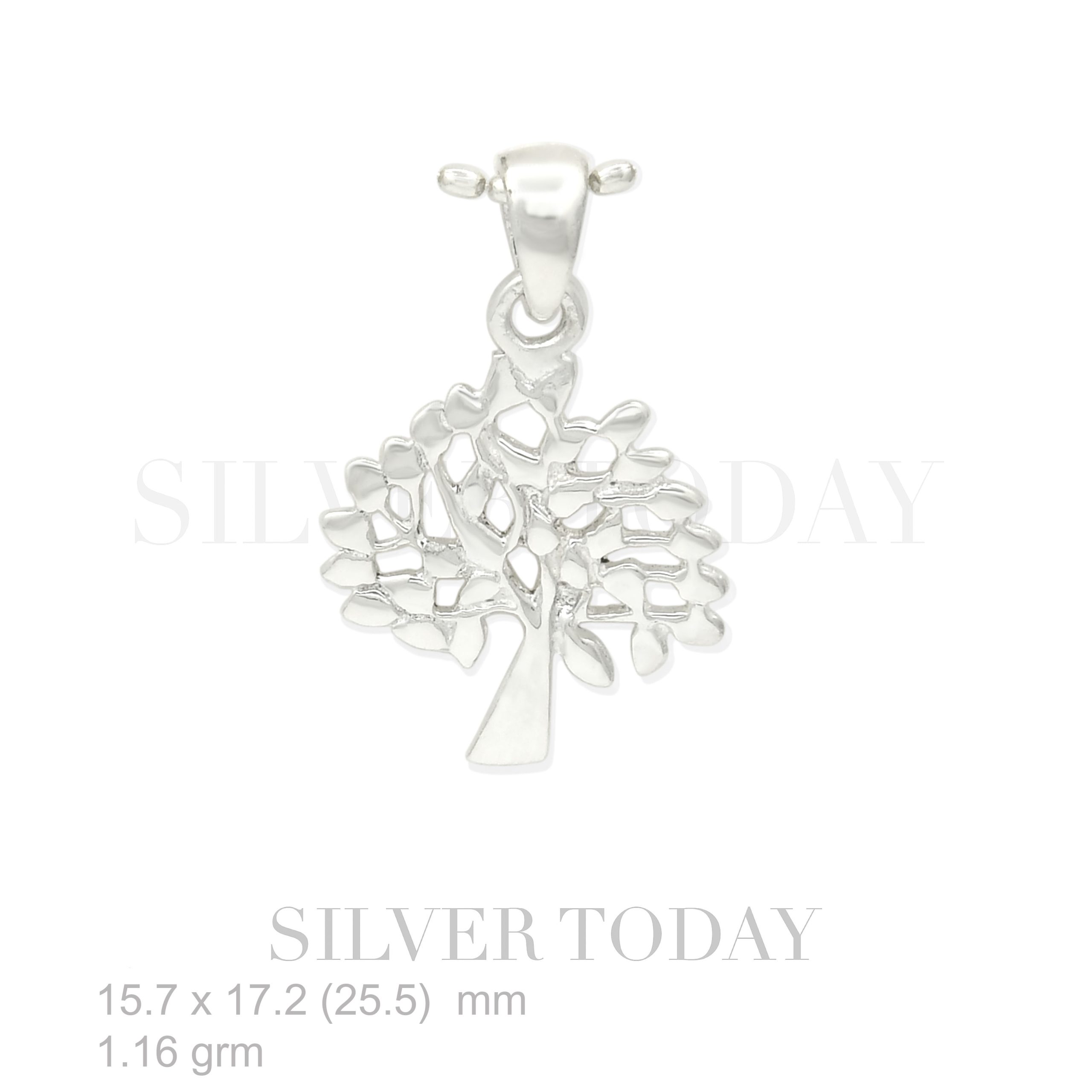 P1P04PL0107 P1P04PL0107