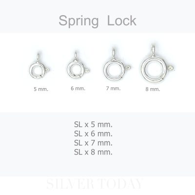 Spring Lock