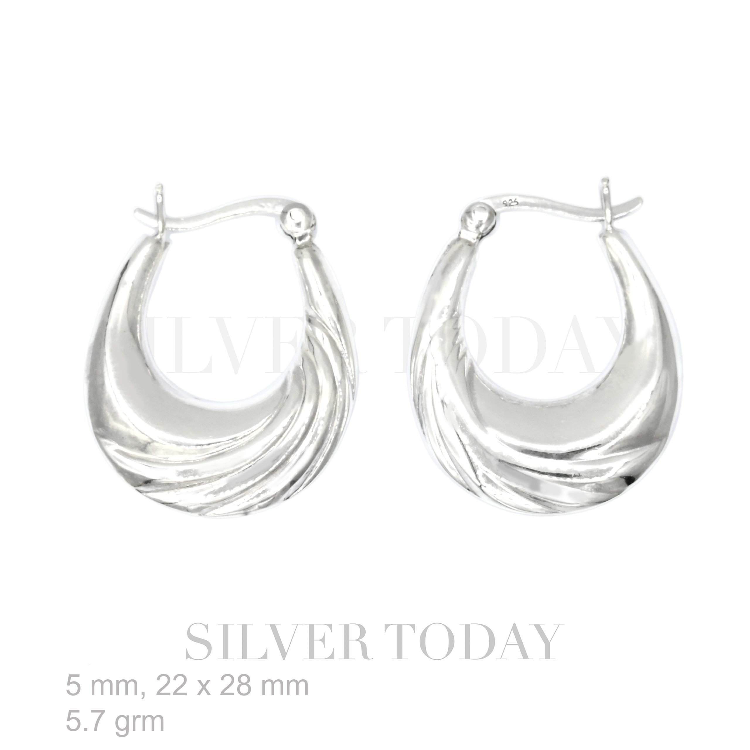 Earrings Plain Style