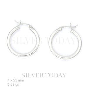 Earring Plain cercir style