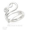 Ring Plain Design