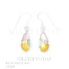 Earring Stone shap Drop