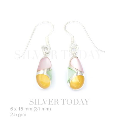 Earring Stone shap Drop