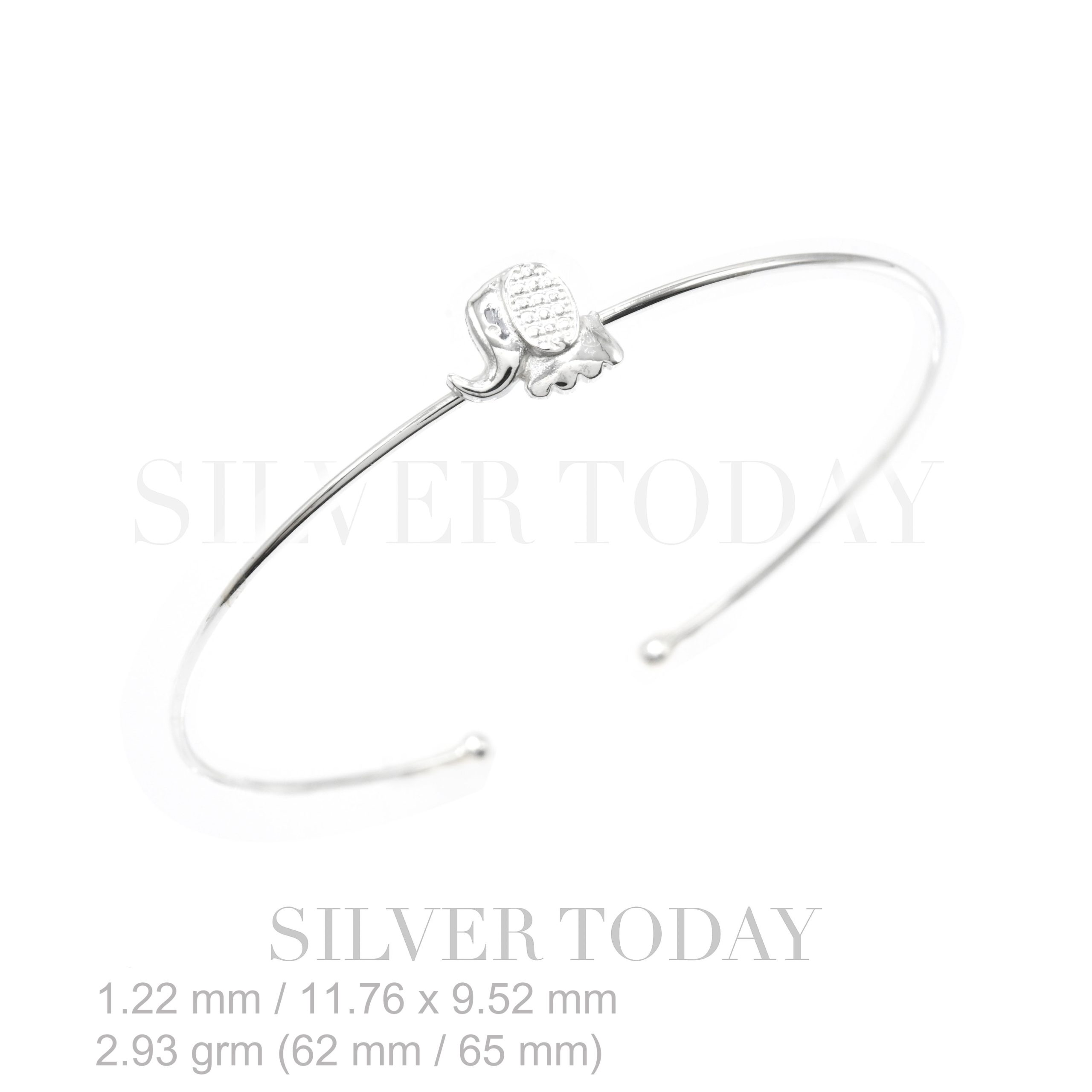 G1P01A1409 G1P01A1409