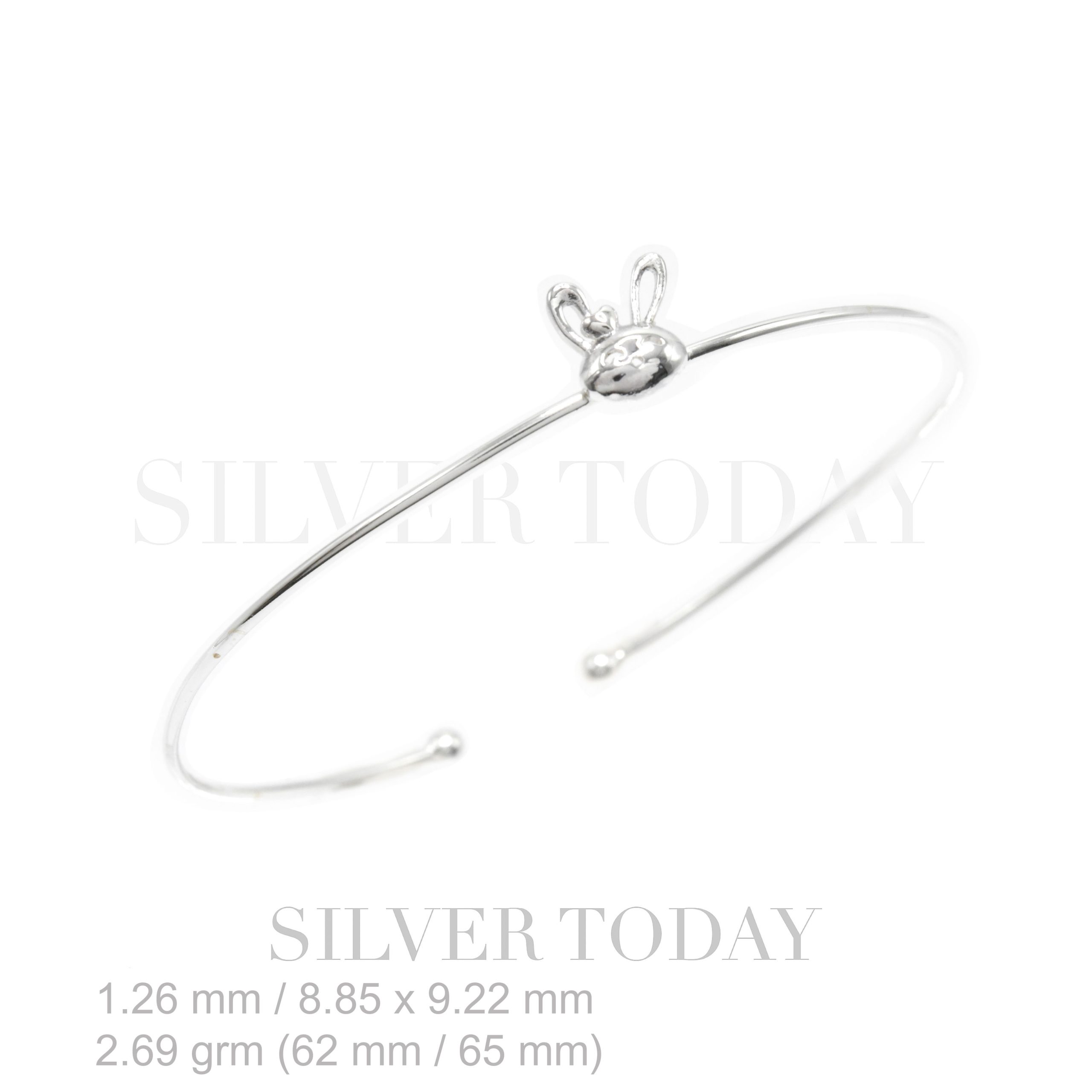 G1P01A1410 G1P01A1410