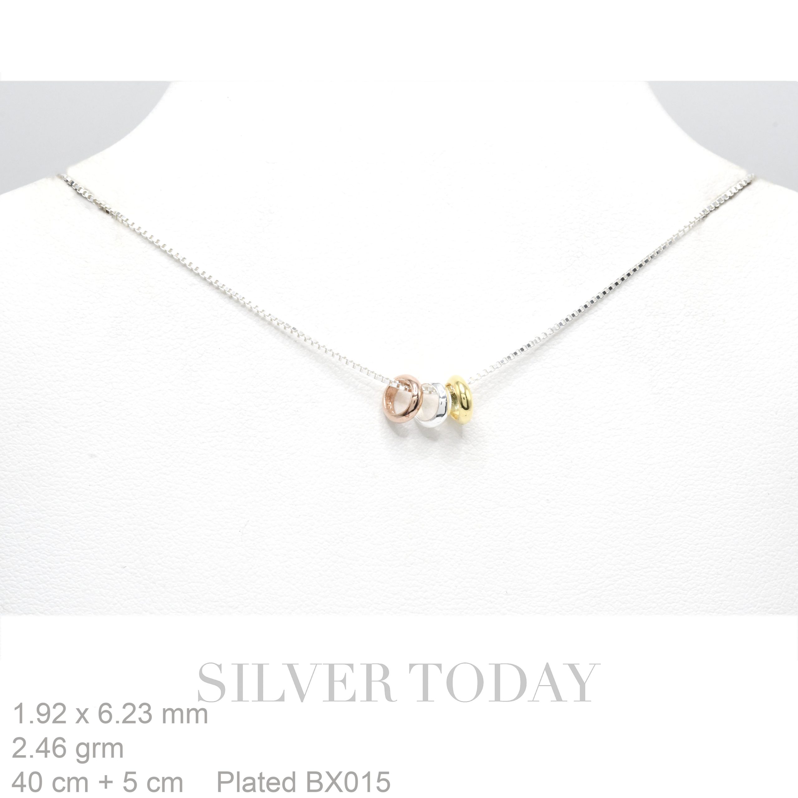 NCP01A1507P Necklace Silver Pendant