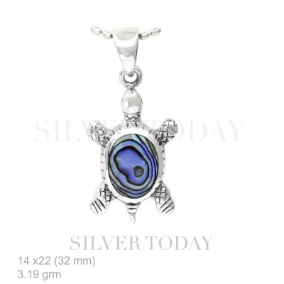 Turtle-shaped silver colored stone