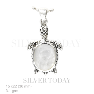 Turtle-shaped silver colored stone