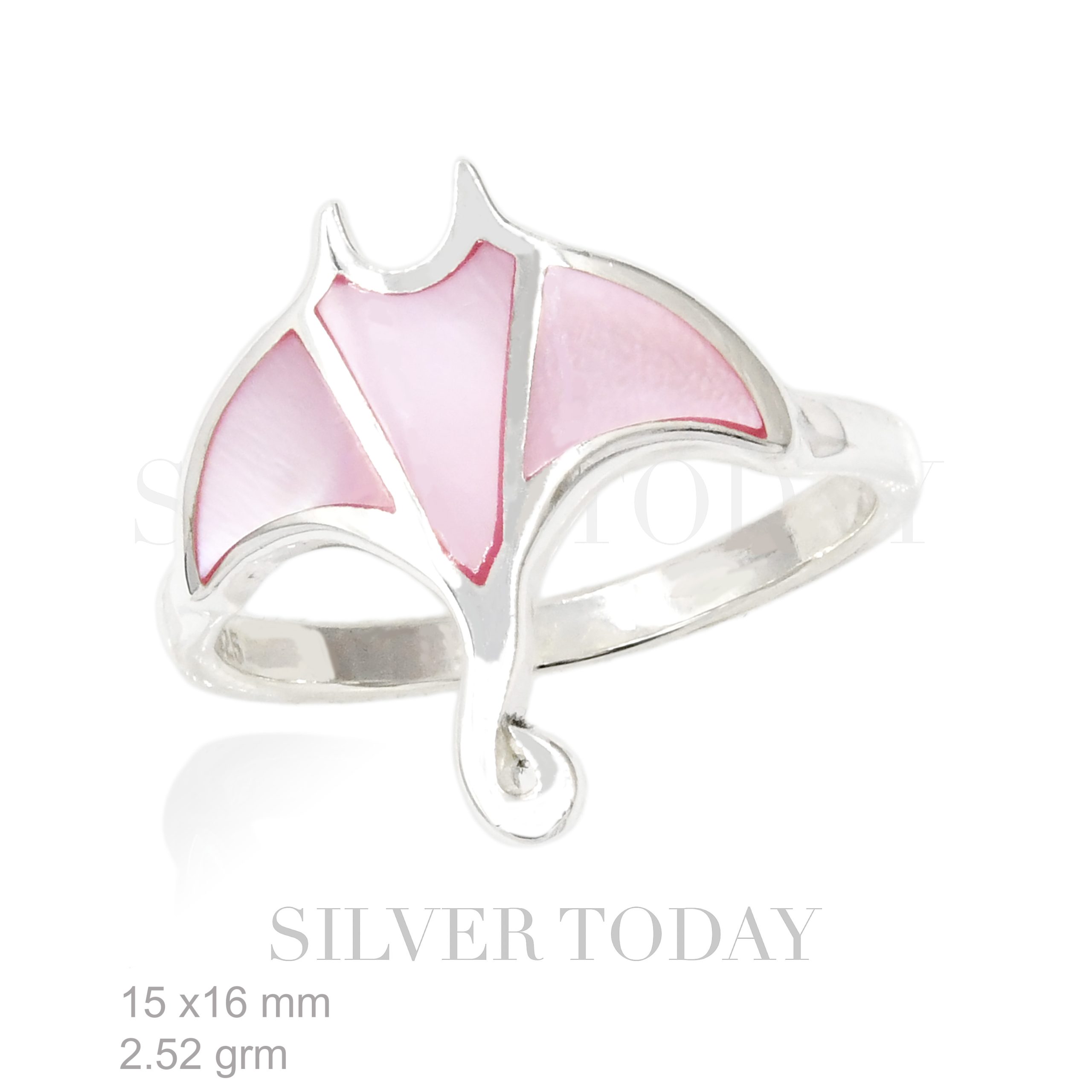 RSX13TPR018 Silver stone fly